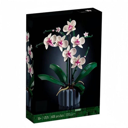Orchid Flowers - 608 Pcs