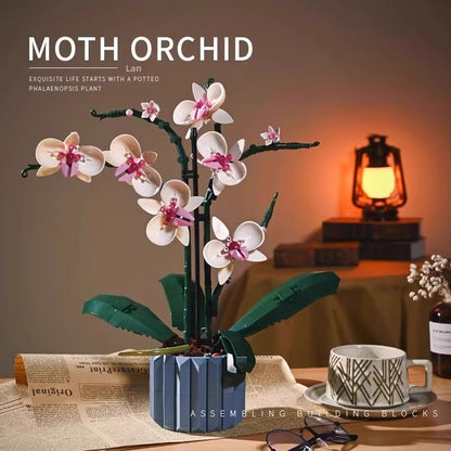 Orchid Flowers - 608 Pcs